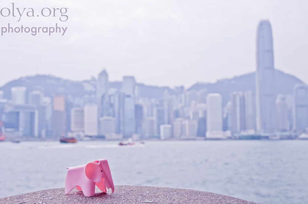 Miniature Eames Elephant chair in Hong Kong