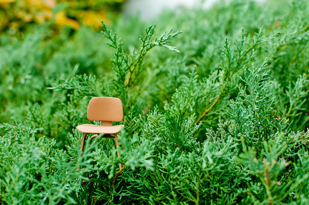 Mini Eames LCW in a bush, Switzerland