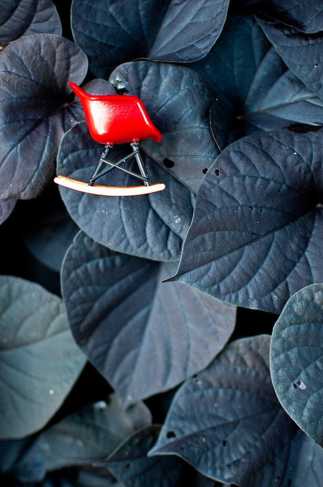 Mini Eames RAR on blue leaves, Switzerland