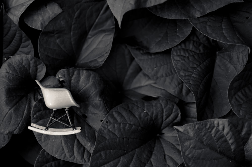 Mini Eames RAR on blue leaves, Switzerland – black and white